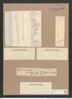 Synedra capitata Ehr. (de-Toni-Nr.: Genus 66, Species 2603) Zeichnungen Sammlung Grunow Nr. 5309 (NHMW-BOT-W0373707)
